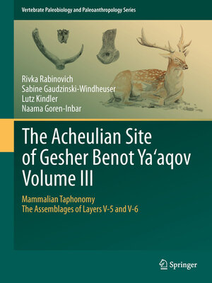 cover image of The Acheulian Site of Gesher Benot Ya'aqov Volume III